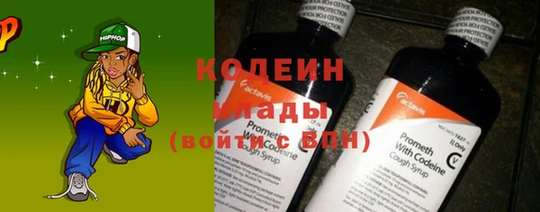 шишки Переславль-Залесский