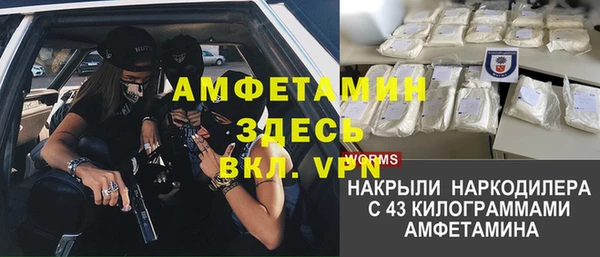 крисы Пестово