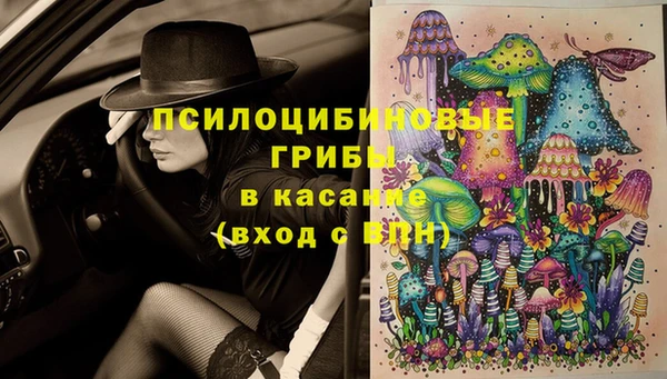 шишки Переславль-Залесский